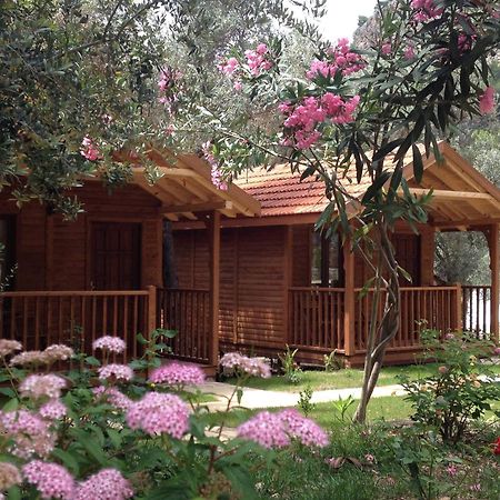 Kidrak Otel Montenegro-1 Faralya Dış mekan fotoğraf